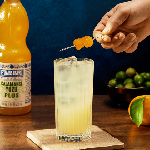 Zenzero Fabbri Garnish - Fabbri 1905 S.p.A.