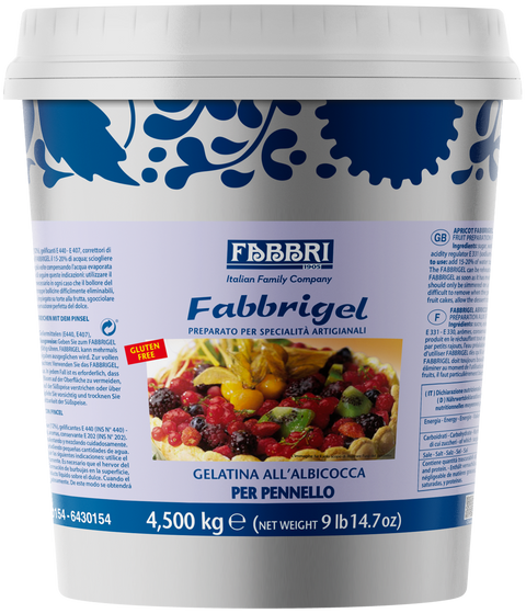 FABBRIGEL ALBICOCCA (A PRESA LENTA DA PENNELLO) 4,5KG - Fabbri 1905 S.p.A.