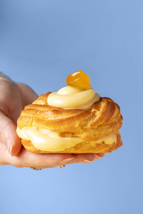 Zenzero Fabbri al -20%