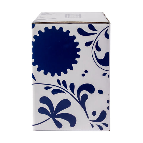 Couvette Zenzero Fabbri 600g con coppette
