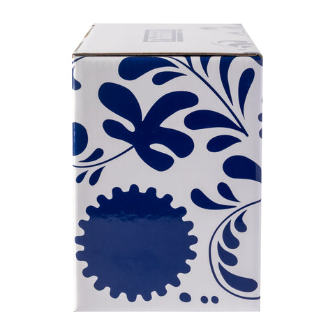 Couvette Zenzero Fabbri 600g con coppette
