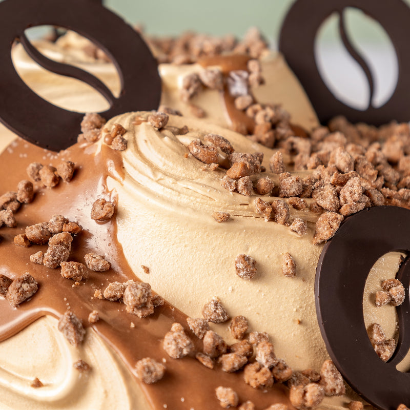 Massa di gelato al caffé con crumblé Fabbri caffé