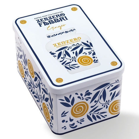 Latta Zenzero Fabbri 600g con cucchiaino e ricettario