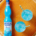 ANICE ZERO 560ml - Fabbri 1905 S.p.A. 