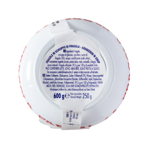 Fragola Fabbri 600g
