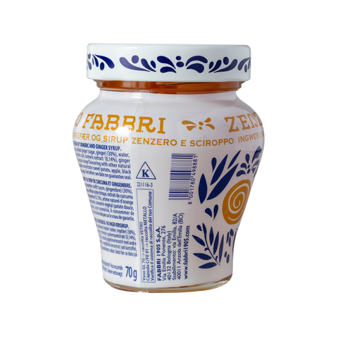 Zenzero Fabbri 230g